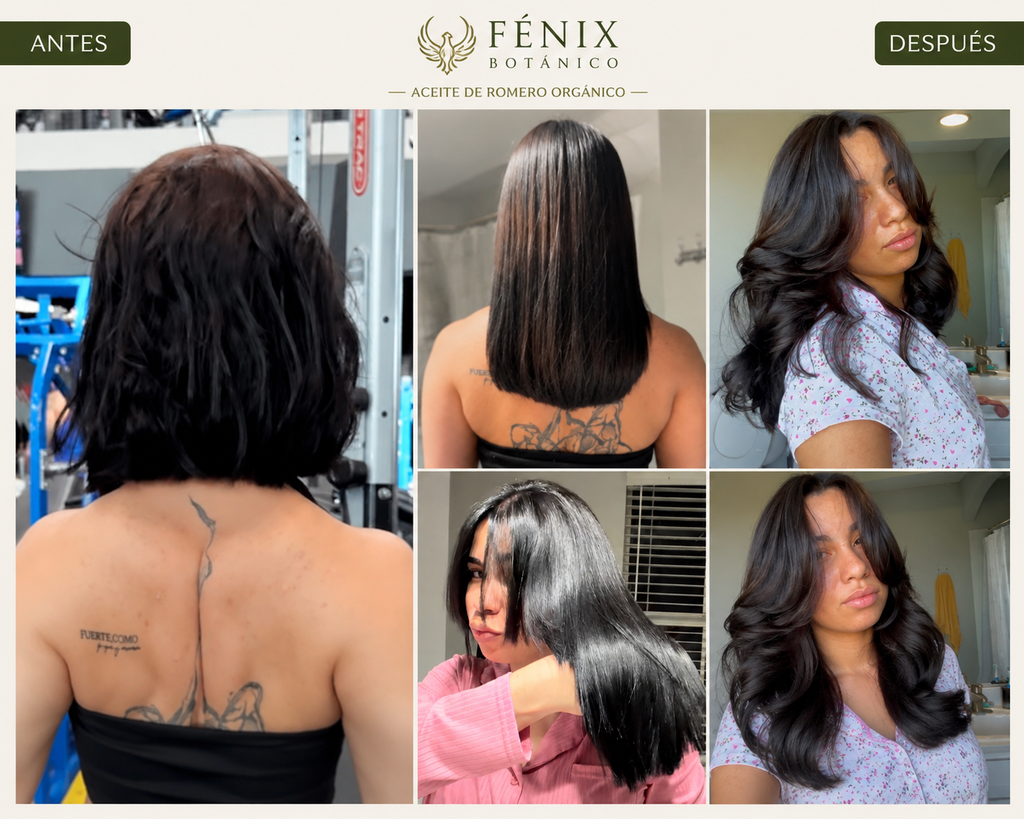 Fénix Elixir