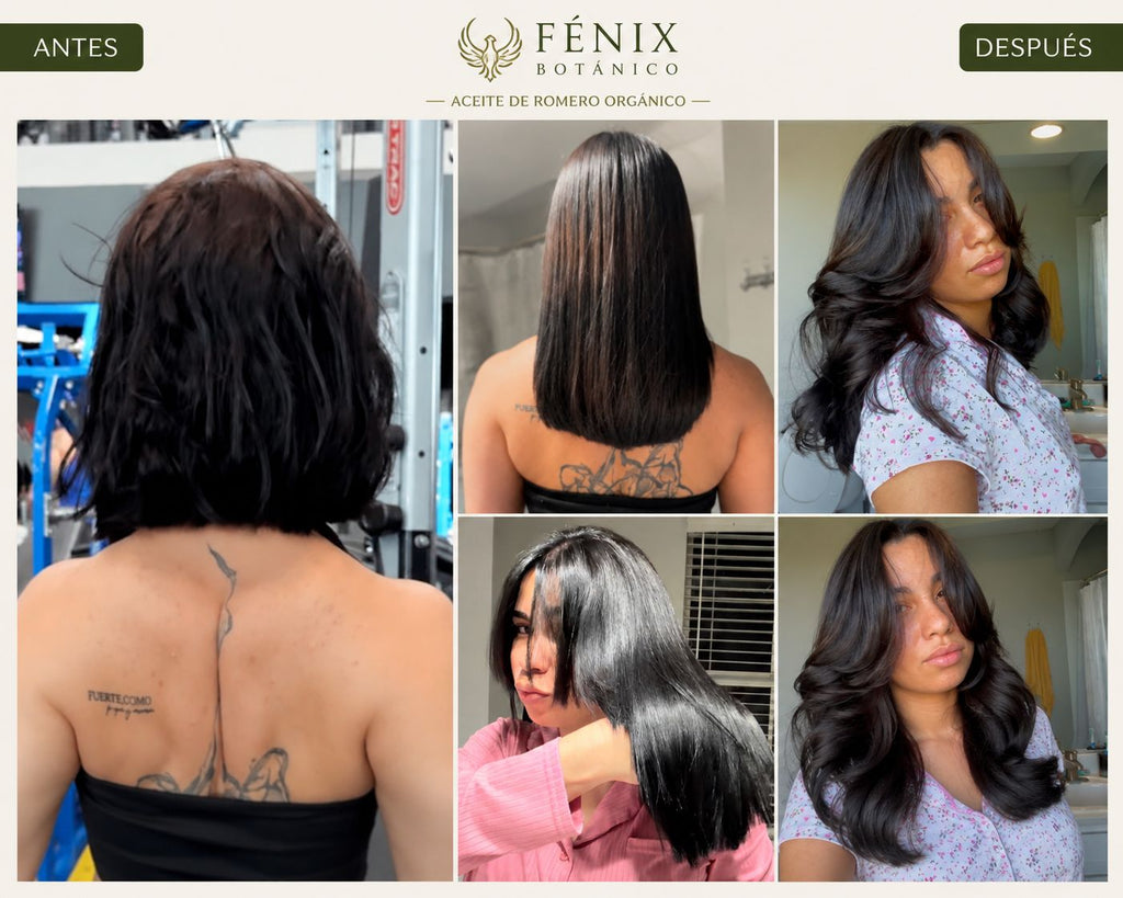 Coleccion Esencial Fenix